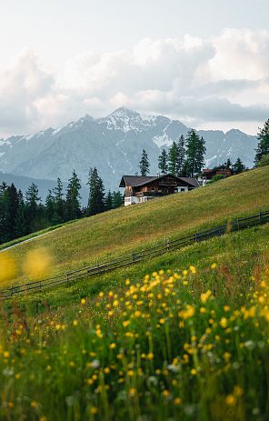 wattenberg-fruehling-tirol-berge-1