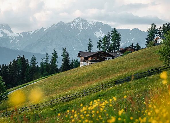 Entspannter Urlaub in Tirol im Frühling mit Wiesen, Bergen und Hütten
