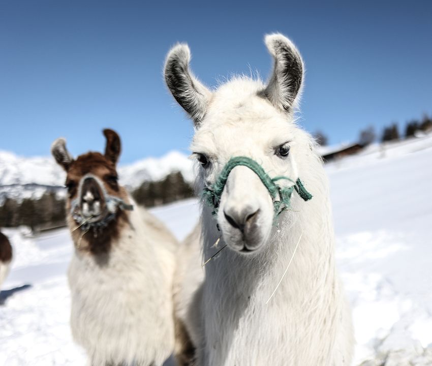 Boutique d'expériences