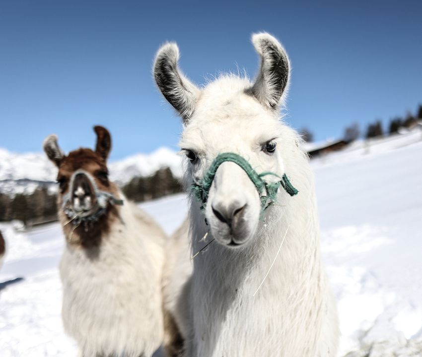 Negozio di esperienze