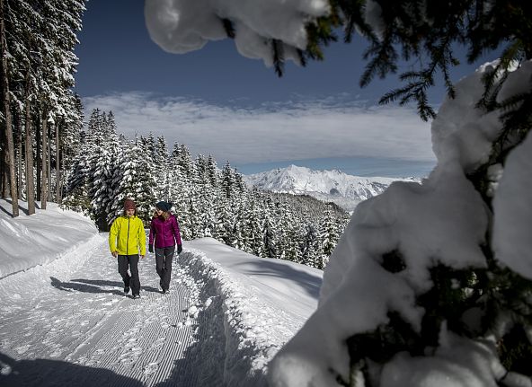 winterwandern-hall-wattens