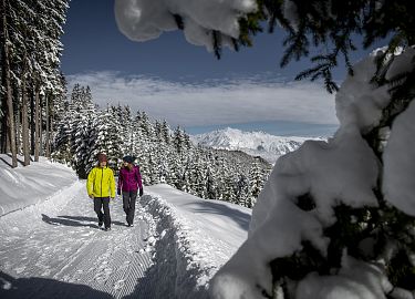 winterwandern-hall-wattens