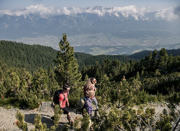 zirben-tirol-zirbenweg-wandern-3